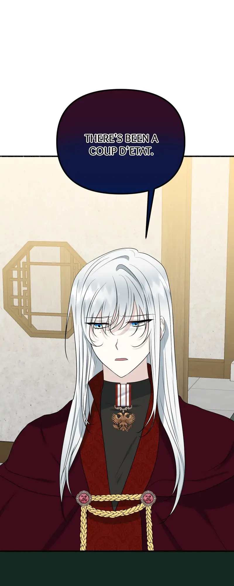 32997786 800 2000 66668